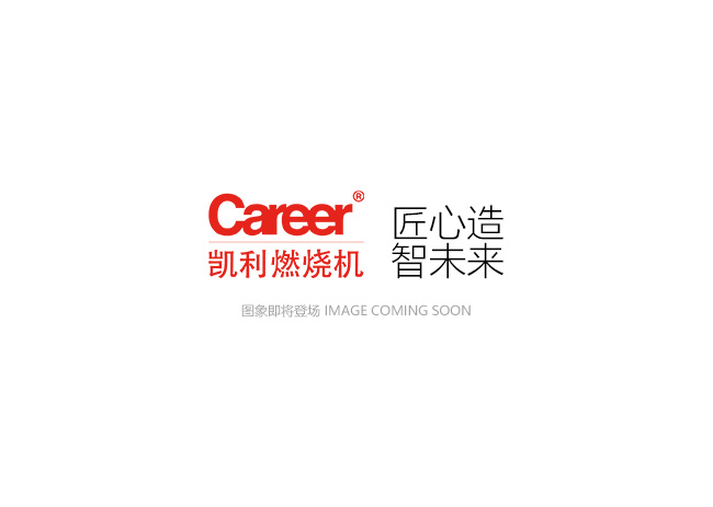 CX100-2 一体式多级调节 强制鼓风好色TV下载APP器